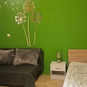 Zizi Debrecen